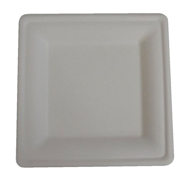 Pz.50 Piatto Quadrato Piano Medio Bio cm 20 X 20 100 % Canna da zucchero