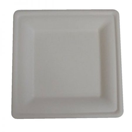 Pz.50 Piatto Quadrato Piano Medio Bio cm 20 X 20 100 % Canna da zucchero